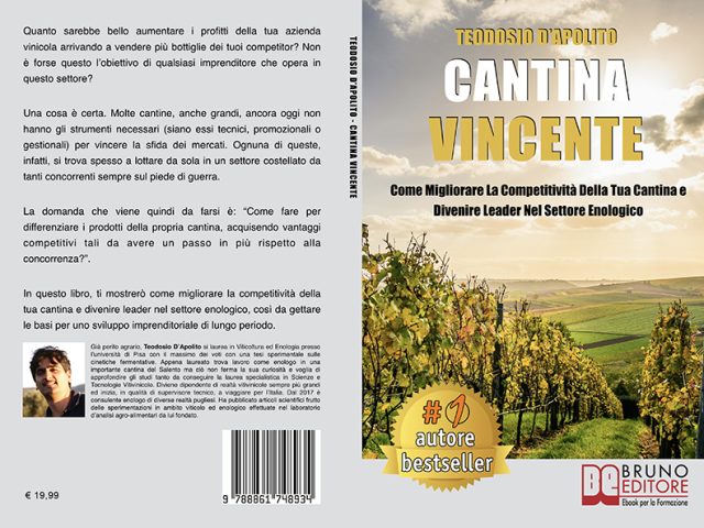 Teodosio D’Apolito, Cantina Vincente: il Bestseller su come migliorare la competività della propria cantina