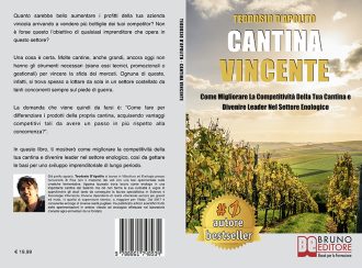 Teodosio D’Apolito, Cantina Vincente: il Bestseller su come migliorare la competività della propria cantina